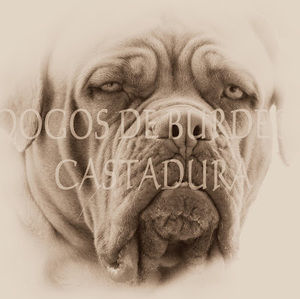 Meet your Posher, Adrian